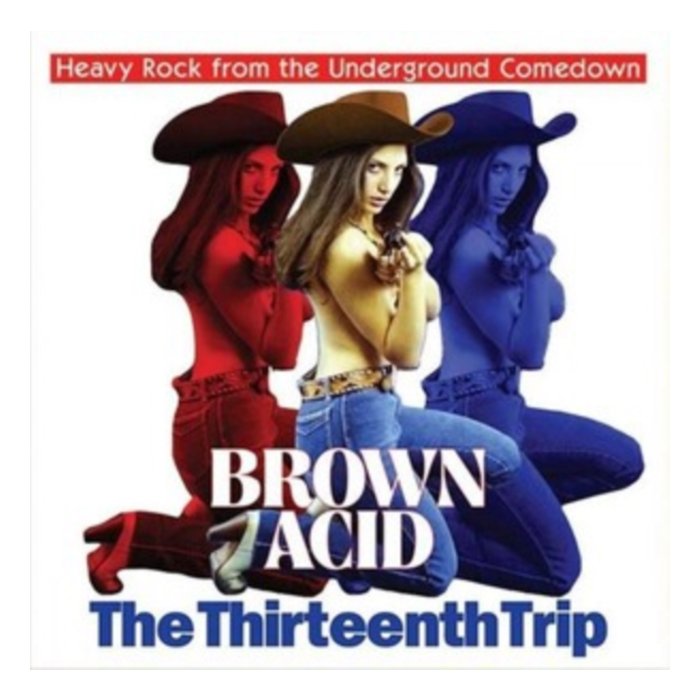 VARIOUS ARTISTS - BROWN ACID: THE THIRTEENTH TRIP