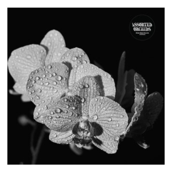 ASSORTED ORCHIDS - ASSORTED ORCHIDS (GATEFOLD/WHITE VINYL)