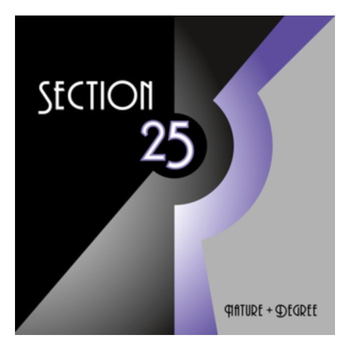 SECTION 25 - NATURE/DEGREE