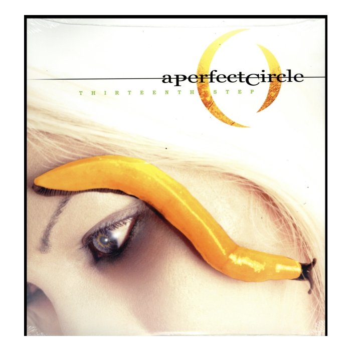 PERFECT CIRCLE - THIRTEENTH STEP