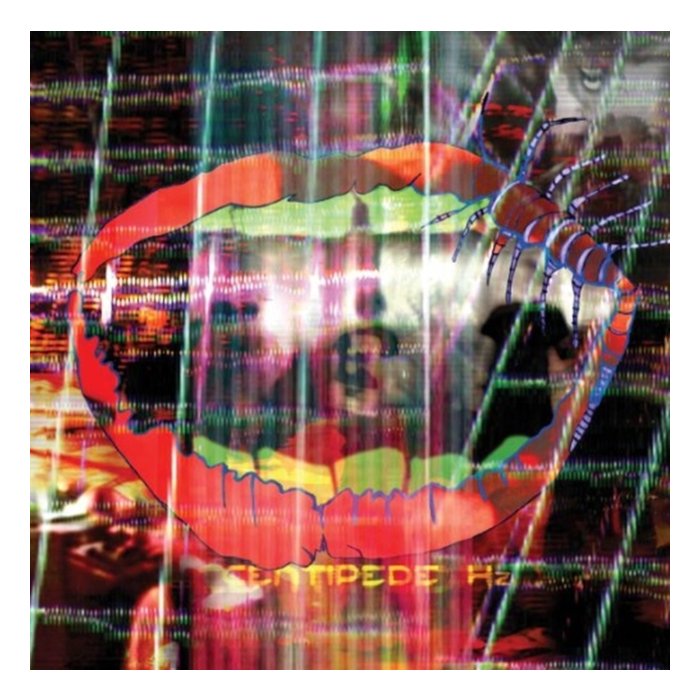 ANIMAL COLLECTIVE - CENTIPEDE HZ (DL CARD)