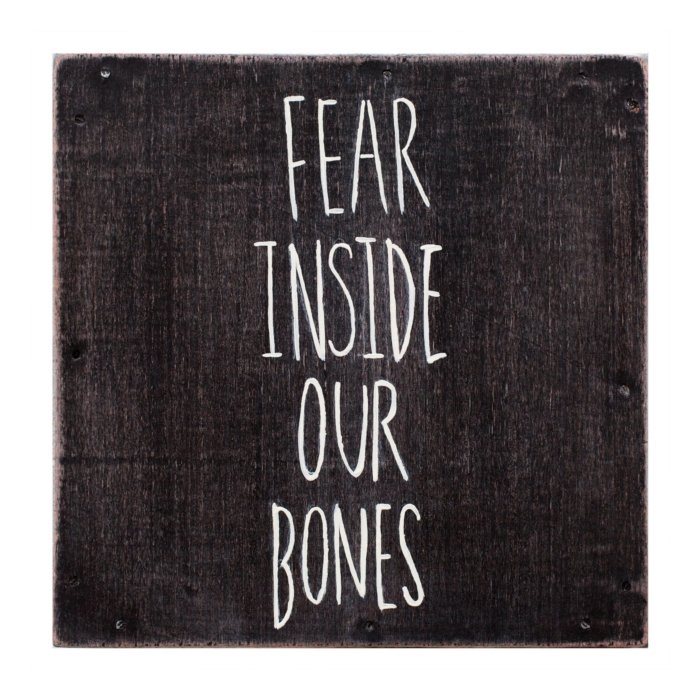 ALMOST - FEAR INSIDE OUR BONES