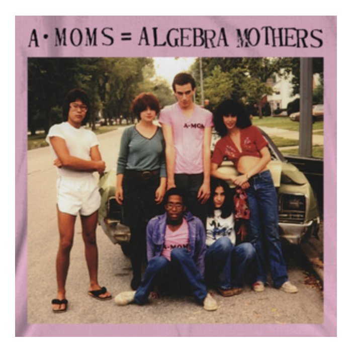 ALGEBRA MOTHERS - A-MOMS = ALGEBRA MOTHERS