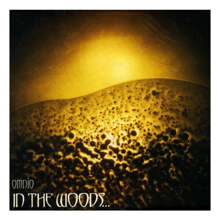 IN THE WOODS - OMNIO (2LP)