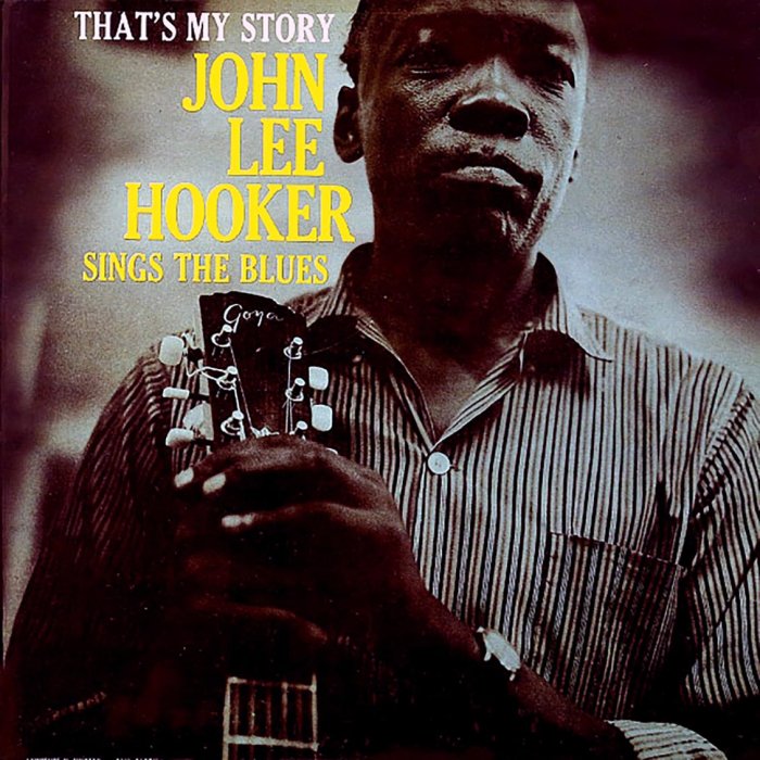John Lee Hooker  -  That's My Story: Sings The Blues