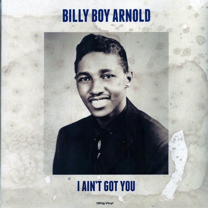Billy Boy Arnold - I Ain't Got You (180g)