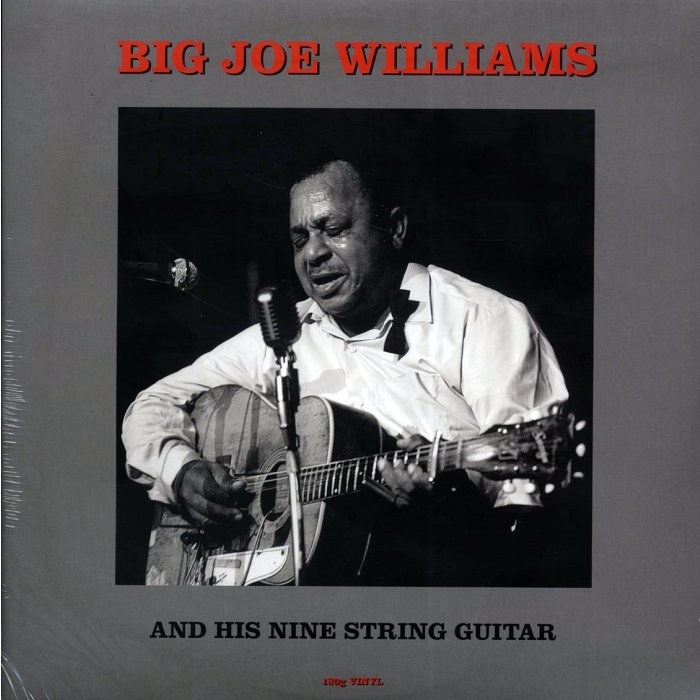 Big Joe Williams - Big Joe Williams And His Nine String Guitar (180g)