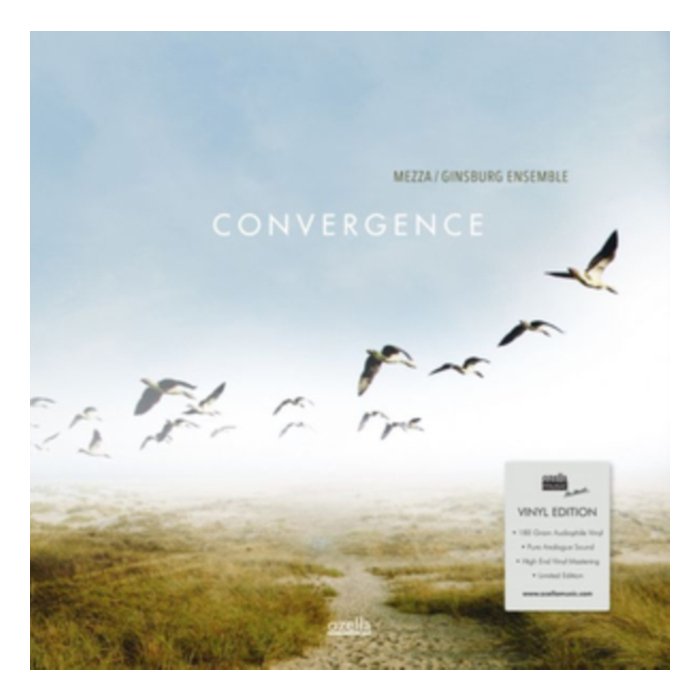 MEZZA GINSBURG ENSEMBLE - CONVERGENCE