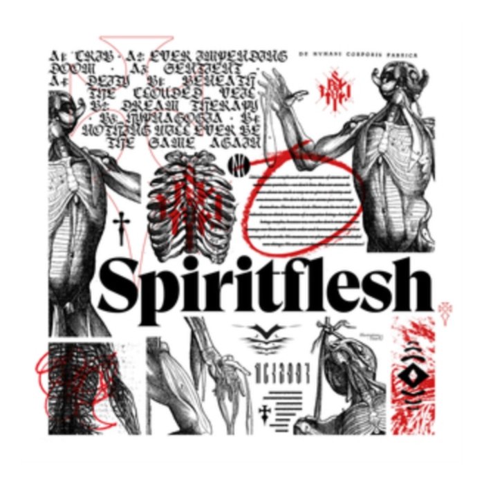 SPIRITFLESH - SPIRITFLESH