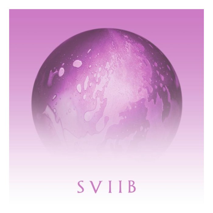 SCHOOL OF SEVEN BELLS - SVIIB