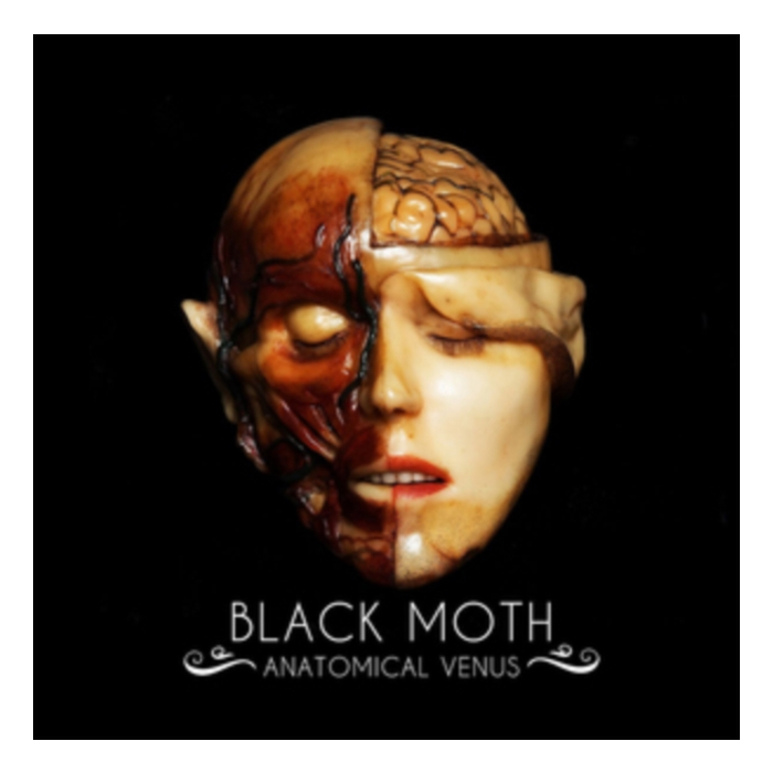 BLACK MOTH - ANATOMICAL VENUS