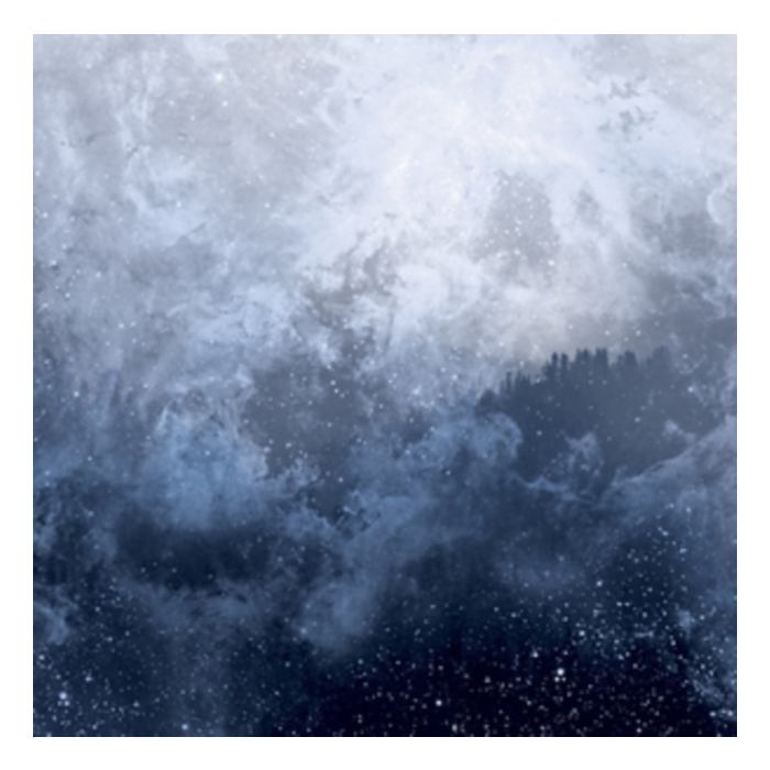 WOLVES IN THE THRONE ROOM - CELESTITE