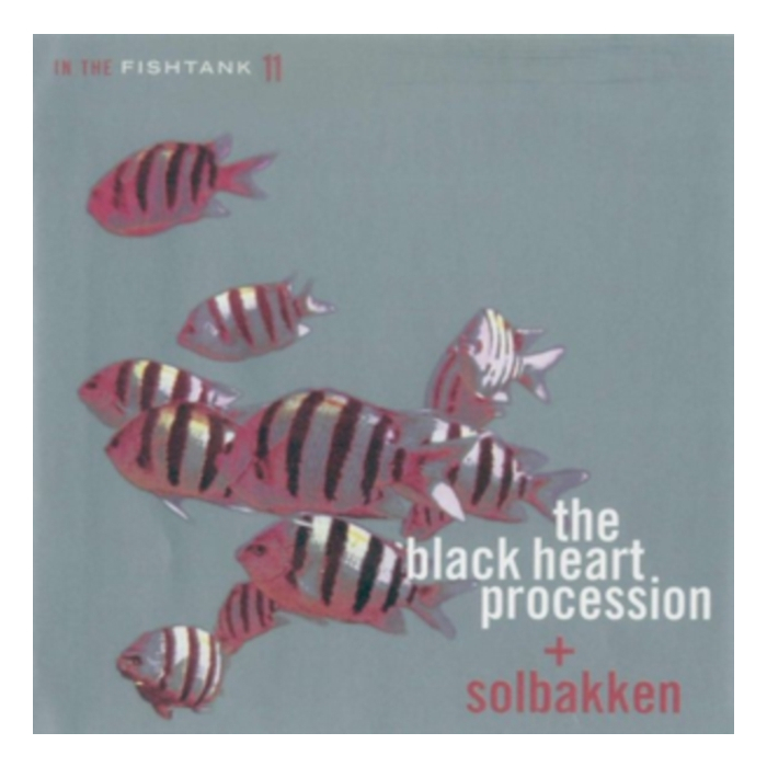 BLACK HEART PROCESSION; SOLBAKKEN - IN THE FISHTANK 11