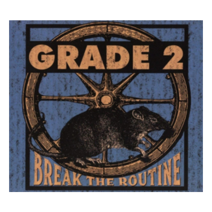 GRADE 2 - BREAK THE ROUTINE