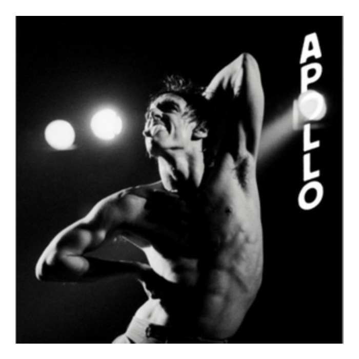 IGGY POP - APOLLO