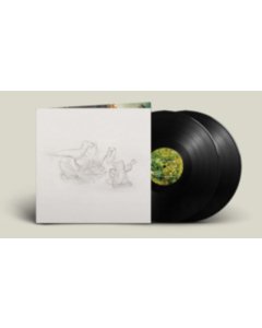 BIG THIEF - DRAGON NEW WARM MOUNTAIN I BELIEVE IN YOU (2LP)