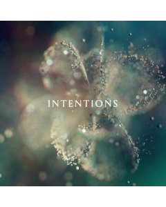 ANNA - INTENTIONS (2LP)