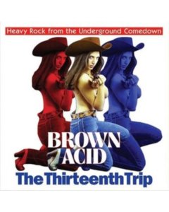 VARIOUS ARTISTS - BROWN ACID: THE THIRTEENTH TRIP