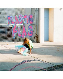 FISH,CAL - PLASTIC FLAG