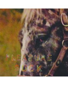 SPIRIT OF THE BEEHIVE - PLEASURE SUCK (TRANSPARENT ORANGE VINYL)