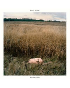 SINAI VESSEL - BROKENLEGGED