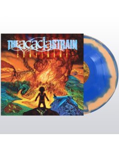 ACACIA STRAIN - CONTINENT