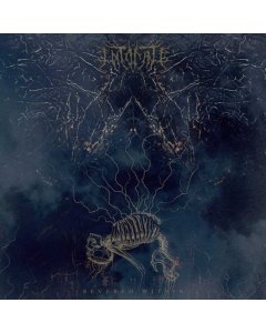 INTONATE - SEVERED WITHIN (RANDOM MIXED COLOR VINYL)