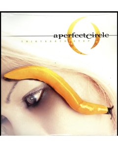 PERFECT CIRCLE - THIRTEENTH STEP