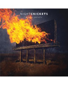 NIGHT CRICKETS - FREE SOCIETY