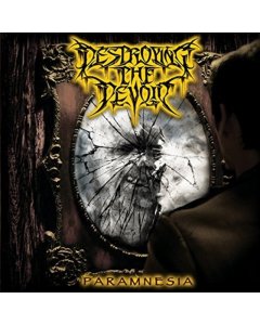 DESTROYING THE DEVOID - PARAMNESIA