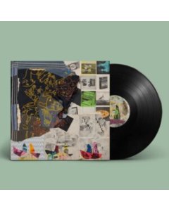 ANIMAL COLLECTIVE - TIME SKIFFS (2LP/DL CARD)