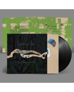 ANIMAL COLLECTIVE - SPIRIT THEY'RE GONE, SPIRIT THEY'VE VANISHED (2LP)