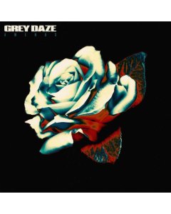 GREY DAZE - AMENDS