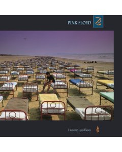 PINK FLOYD - MOMENTARY LAPSE OF REASON (180G/GATEFOLD) (2016 VERSION)