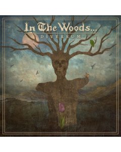 IN THE WOODS - DIVERSUM