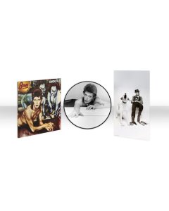 Diamond Dogs (50th Anniversary Picture Disc - Half Speed Master)