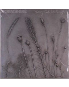 SCRIMSHIRE - NOTHING FEELS LIKE EVERYTHING (PICTURE SLEEVE)