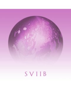 SCHOOL OF SEVEN BELLS - SVIIB