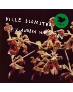 LIV ANDREA HAUGE TRIO - VILLE BLOMSTER