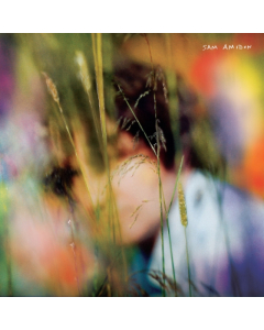 AMIDON,SAM - SAM AMIDON (BLUEBERRY MARBLE VINYL)