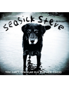 SEASICK STEVE - YOU CAN'T TEACH AN OLD DO