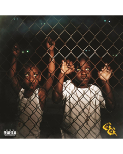 EARTHGANG - GHETTO GODS (BLACK & GOLD SWIRL/2LP)