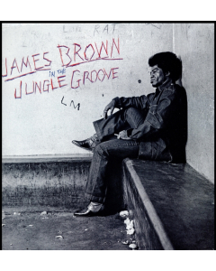 BROWN,JAMES - IN THE JUNGLE GROOVE 