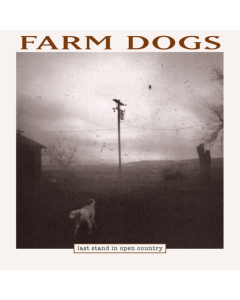 FARM DOGS - LAST STAND IN OPEN COUNTRY (2LP/140G/BLACK ICE VINYL) (RSD)