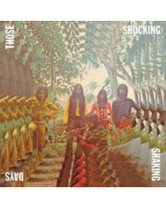 VARIOUS ARTISTS - THOSE SHOCKING SHAKING DAYS