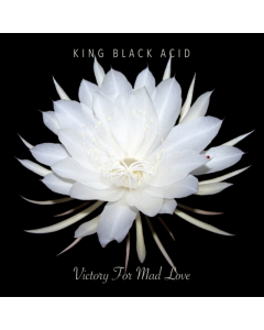 KING BLACK ACID - VICTORY FOR MAD LOVE (RSD)