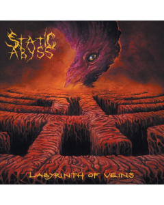 STATIC ABYSS - LABYRINTH OF VEINS