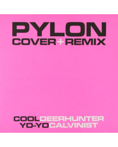 PYLON - COVER / REMIX