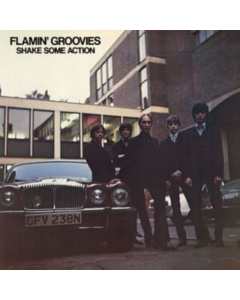 FLAMIN' GROOVIES - SHAKE SOME ACTION (BURNT ORANGE VINYL) (AMS EXCLUSIVE)