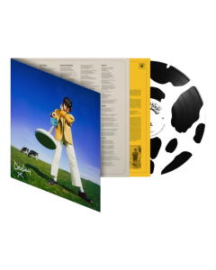 MCKENNA,DECLAN - WHAT HAPPENED TO THE BEACH? (X) (140G/DELUXE/MOO ECO-VINYL PICTURE DISC) (I)